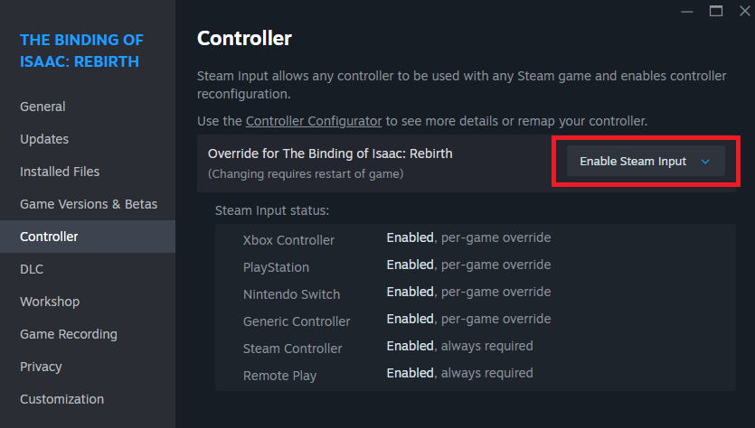 Steam Input setting