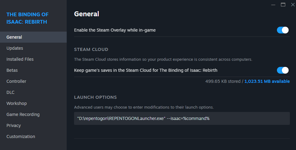 Windows launch options example
